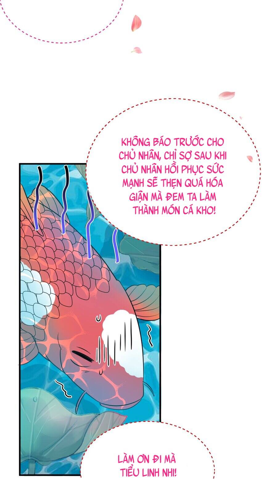 Ta Vô Địch Lúc Nào chapter 126 - Trang 21