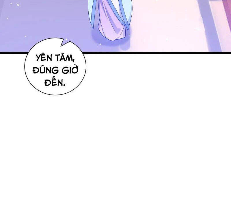 Nhất Đẳng Gia Đinh chapter 241 - Trang 13