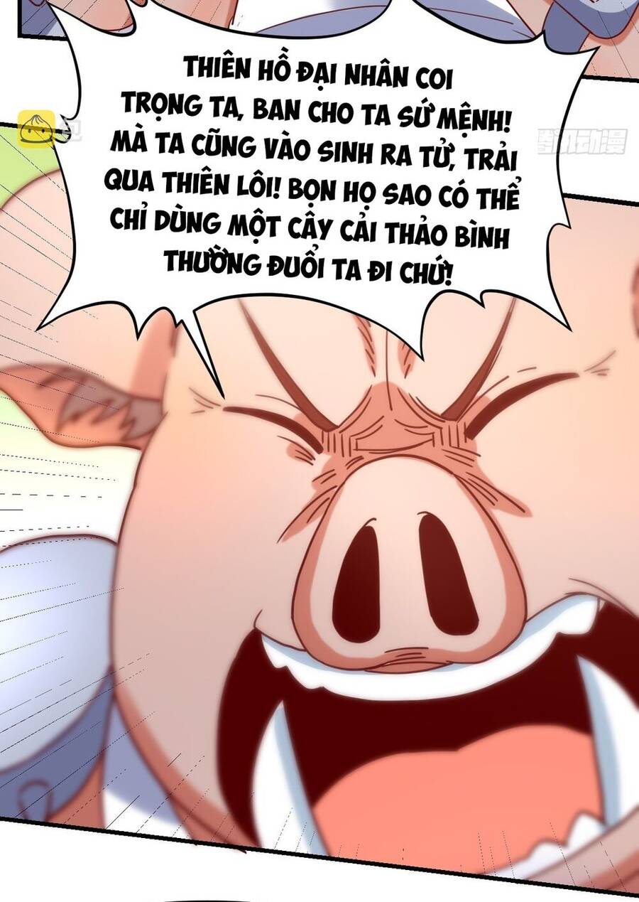 Nguyên Lai Ta Là Tu Tiên Đại Lão chapter 111 - Trang 49