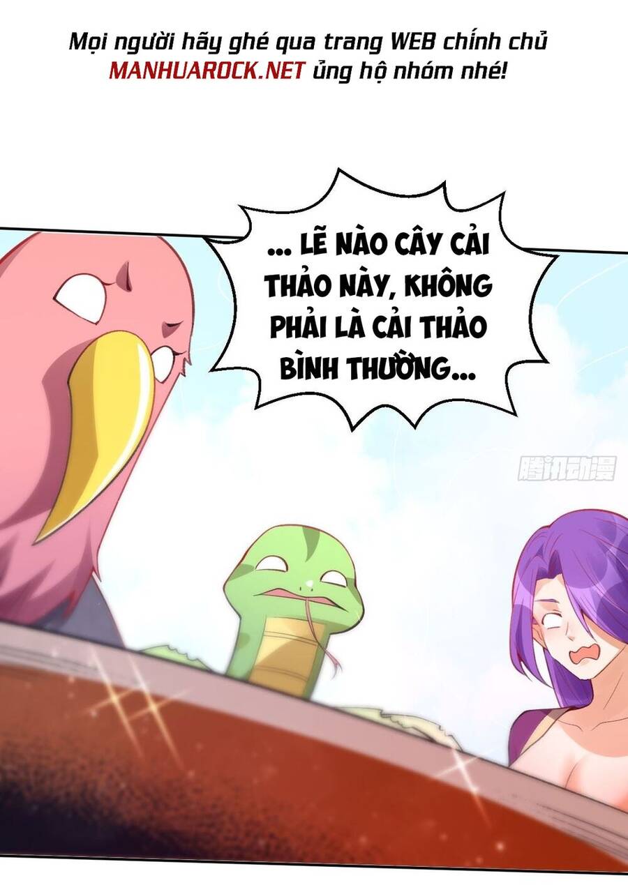Nguyên Lai Ta Là Tu Tiên Đại Lão chapter 112 - Trang 13