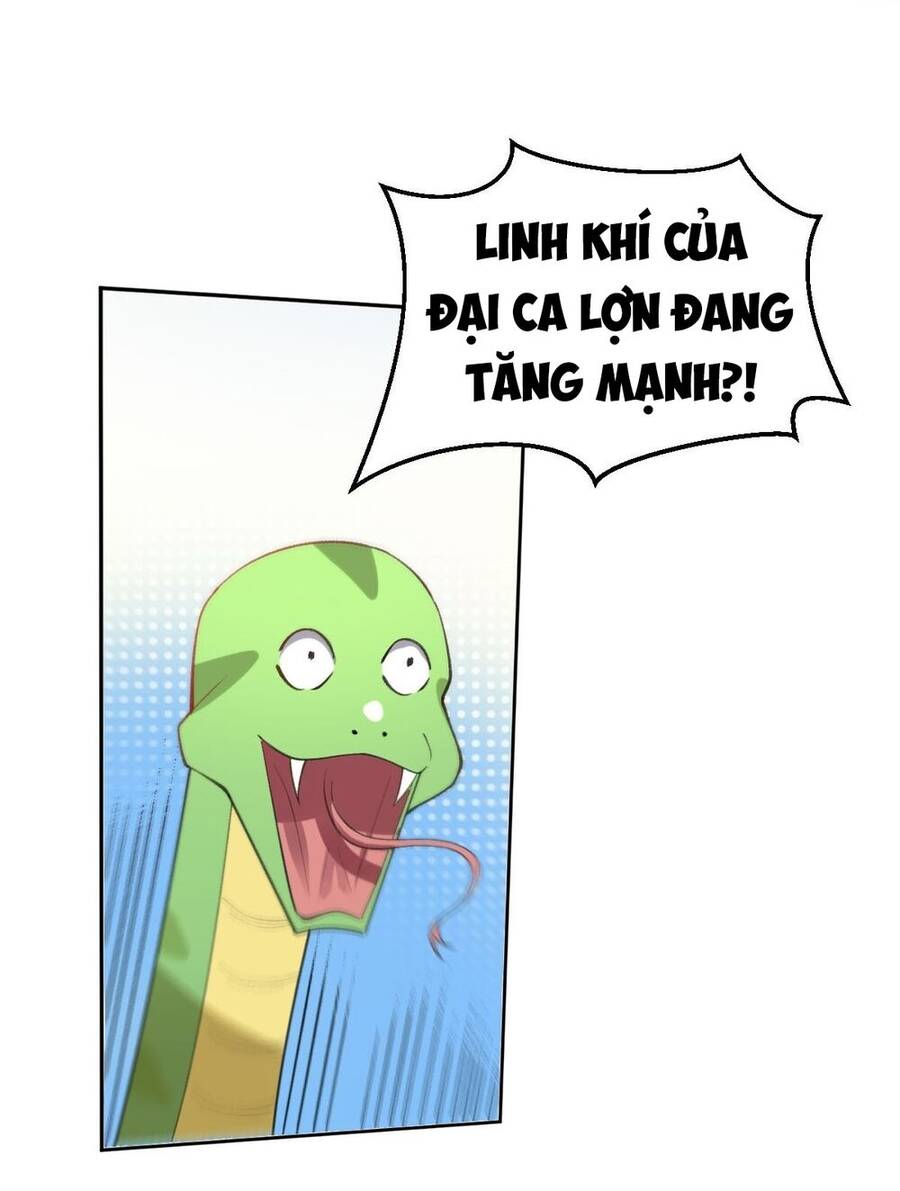 Nguyên Lai Ta Là Tu Tiên Đại Lão chapter 112 - Trang 5