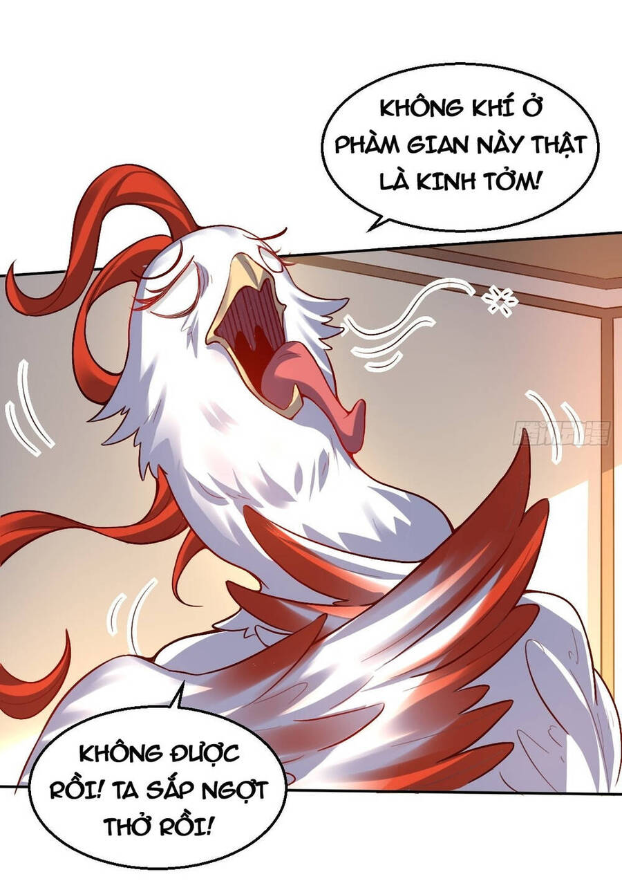 Nguyên Lai Ta Là Tu Tiên Đại Lão chapter 124 - Trang 20