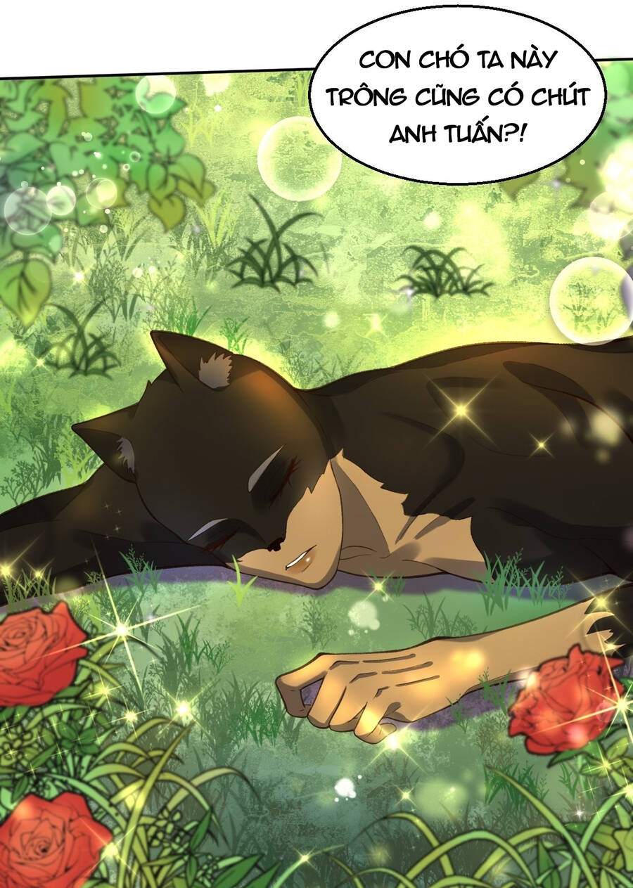Nguyên Lai Ta Là Tu Tiên Đại Lão chapter 126 - Trang 21