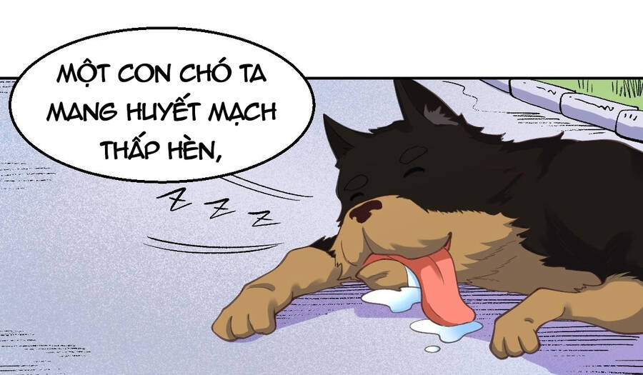 Nguyên Lai Ta Là Tu Tiên Đại Lão chapter 126 - Trang 9