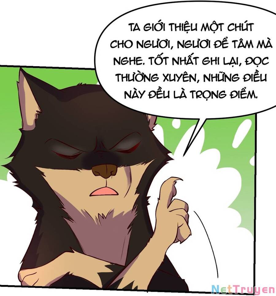 Nguyên Lai Ta Là Tu Tiên Đại Lão chapter 156 - Trang 27