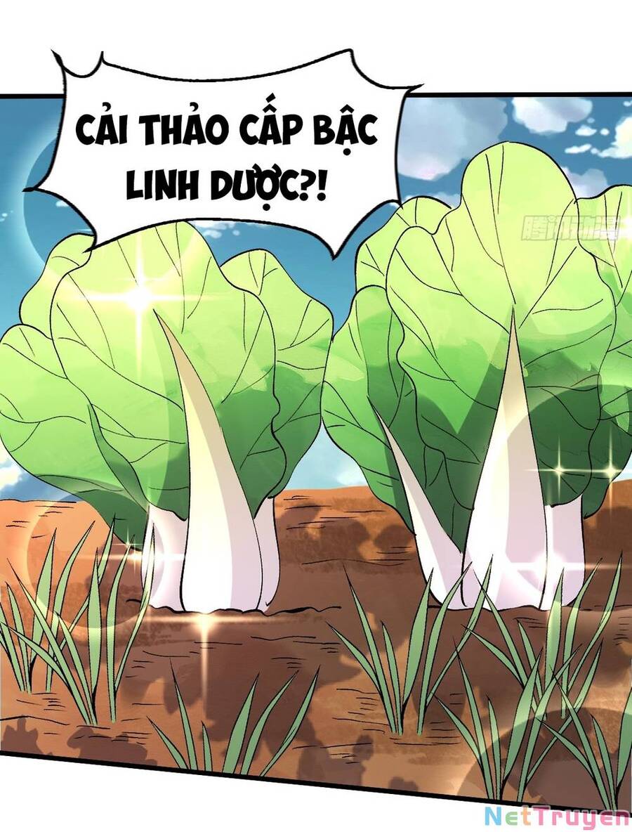 Nguyên Lai Ta Là Tu Tiên Đại Lão chapter 157 - Trang 22