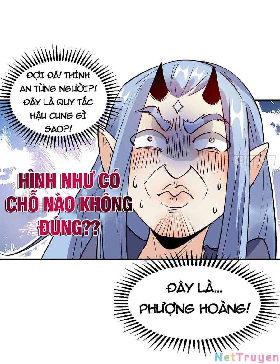 Nguyên Lai Ta Là Tu Tiên Đại Lão chapter 187 - Trang 11
