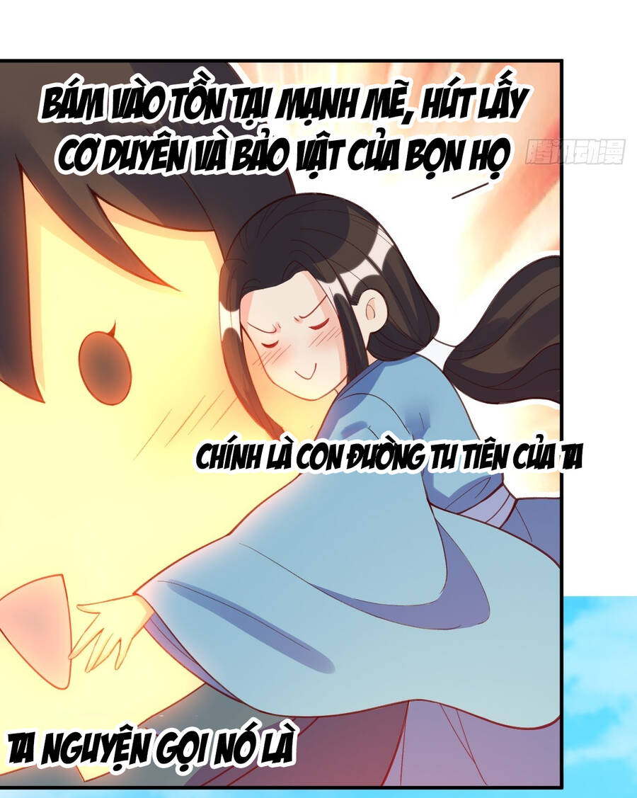 Nguyên Lai Ta Là Tu Tiên Đại Lão chapter 205 - Trang 12