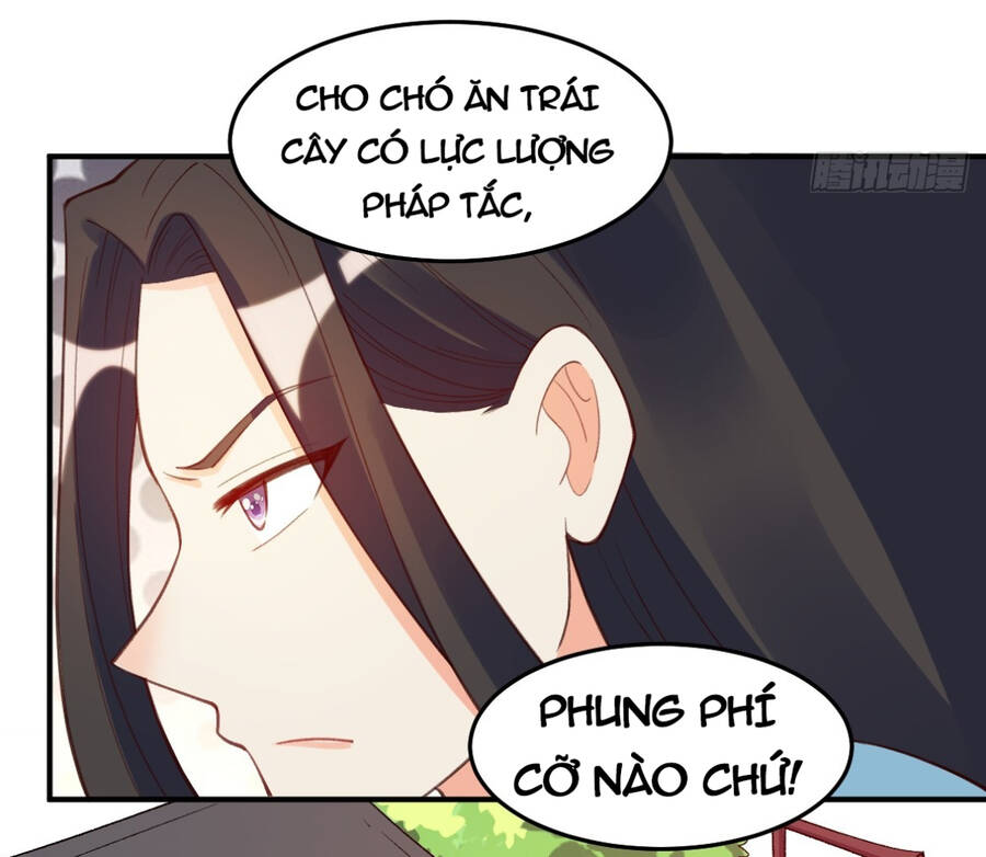 Nguyên Lai Ta Là Tu Tiên Đại Lão chapter 205 - Trang 49