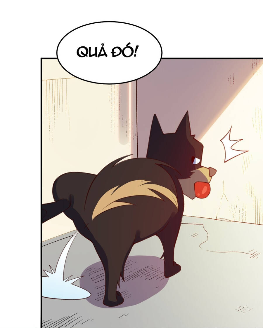 Nguyên Lai Ta Là Tu Tiên Đại Lão chapter 205 - Trang 52