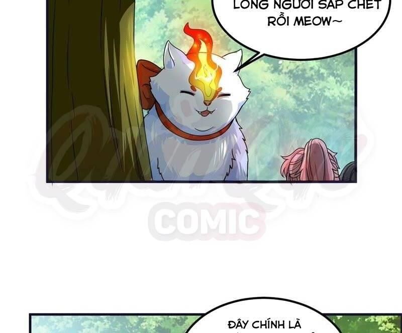: Tối cường quang hoàn hệ thống chapter 51 - Trang 20