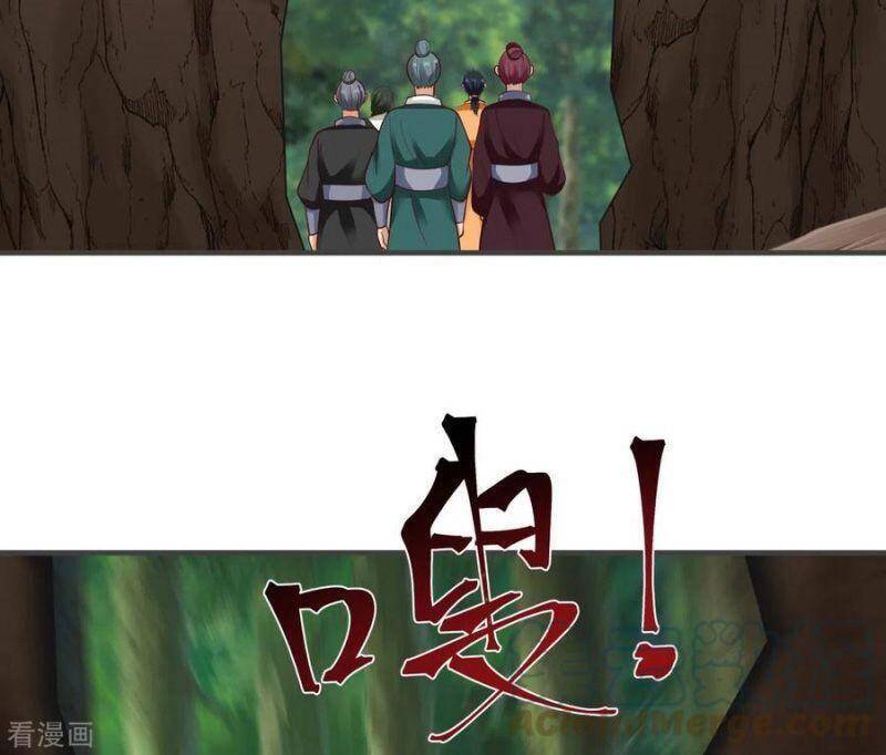 Hỗn Độn Đan Thần chapter 245 - Trang 12