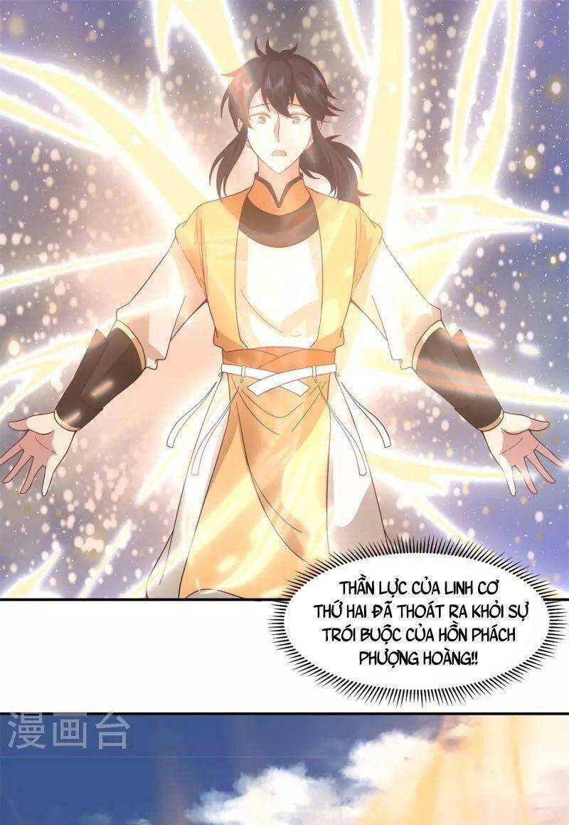 Hỗn Độn Đan Thần chapter 278 - Trang 13
