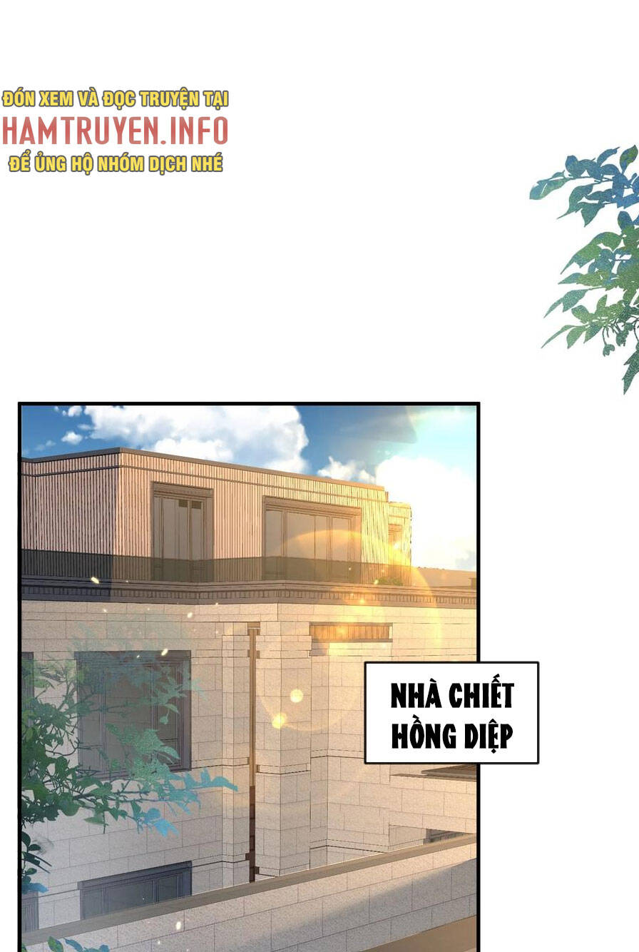 Ta Vô Địch Lúc Nào Chapter 174 - Trang 14
