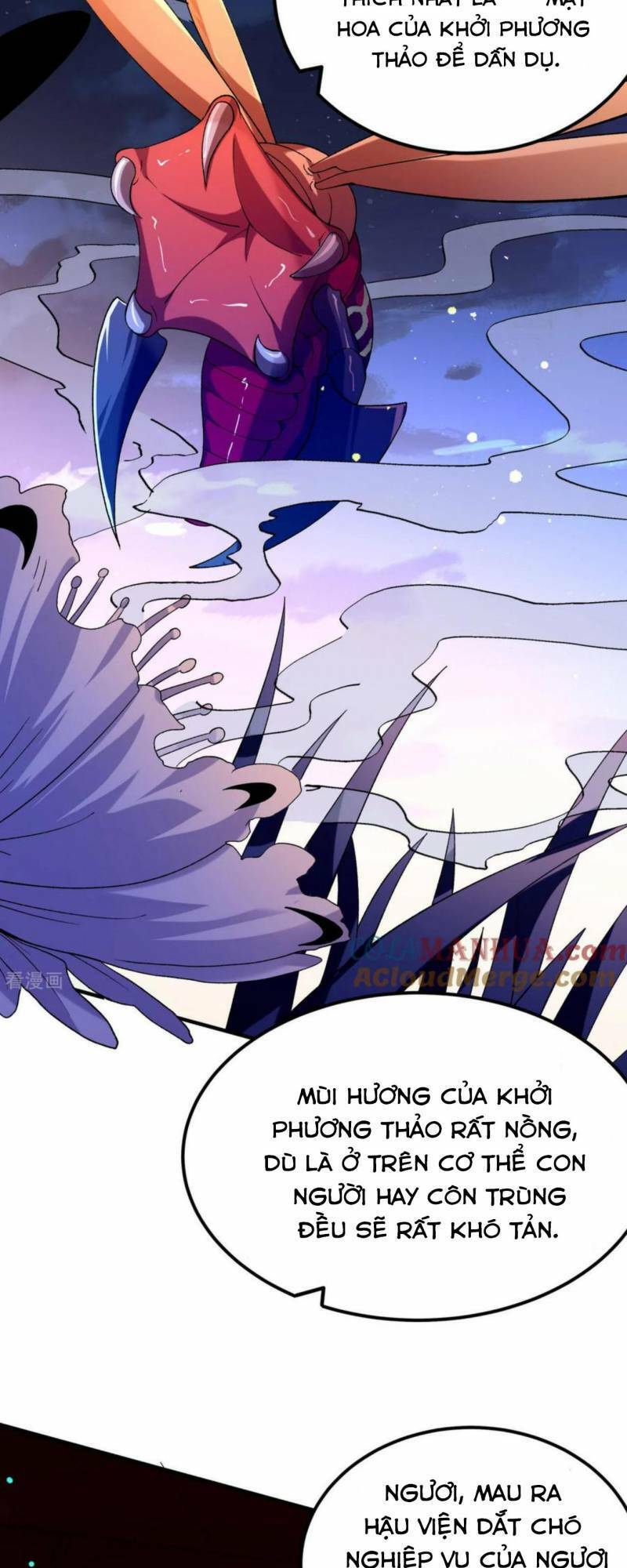 Chiến Thần Bất Tử chapter 31 - Trang 12