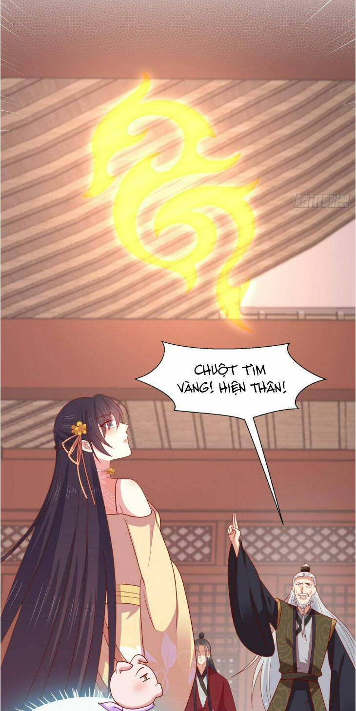 Chi Tôn Đồng Thuật Sư: Tuyệt Thế Đại Tiểu Thư chapter 347 - Trang 5