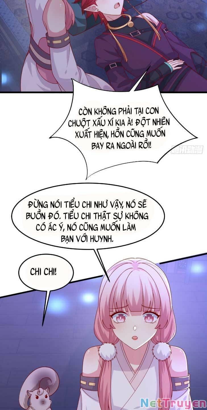 Chi Tôn Đồng Thuật Sư: Tuyệt Thế Đại Tiểu Thư chapter 356 - Trang 11