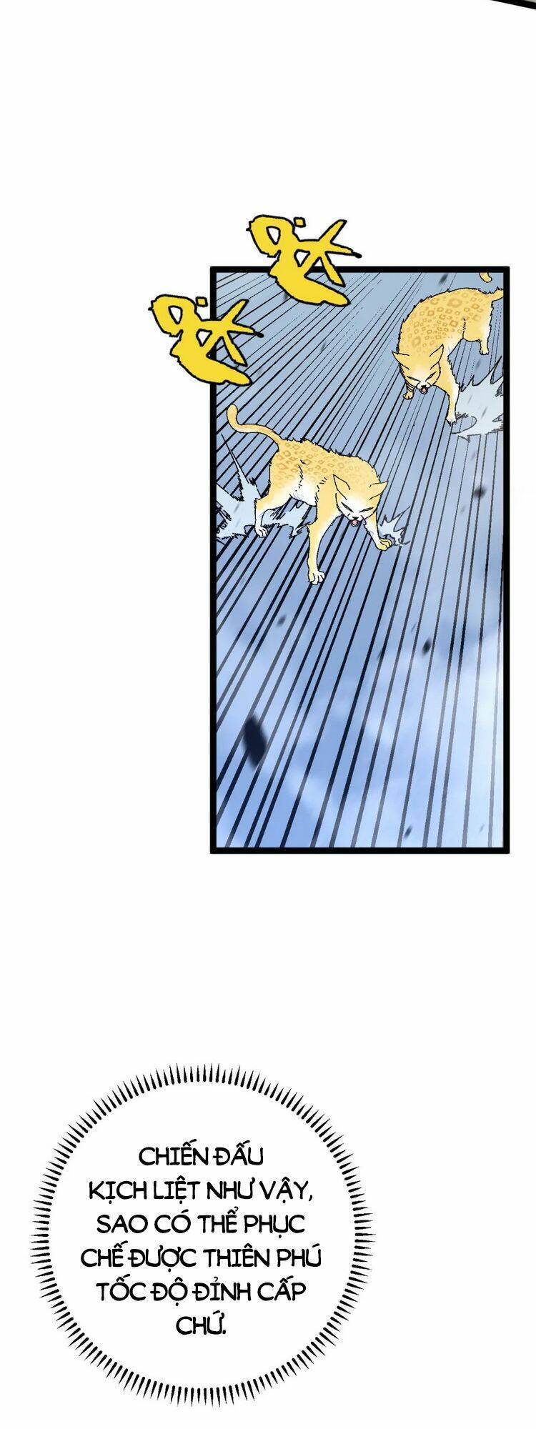 Thiên Phú Của Ngươi, Giờ Là Của Ta chapter 44 - Trang 42