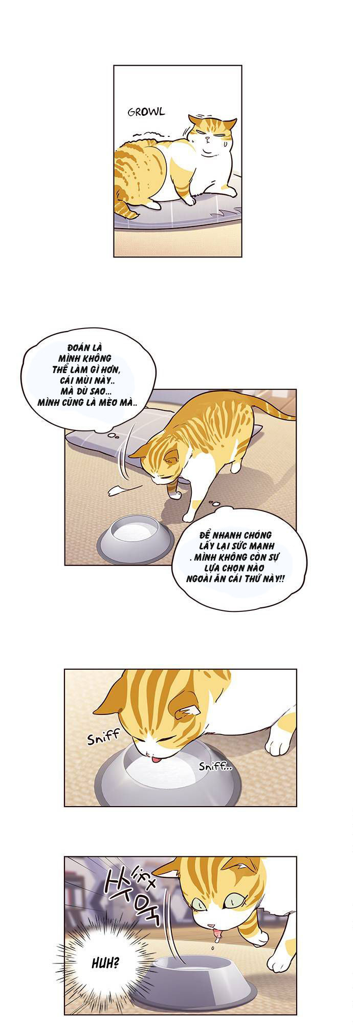 Hóa thân thành mèo chapter 1 - Upload bởi truyensieuhay.com