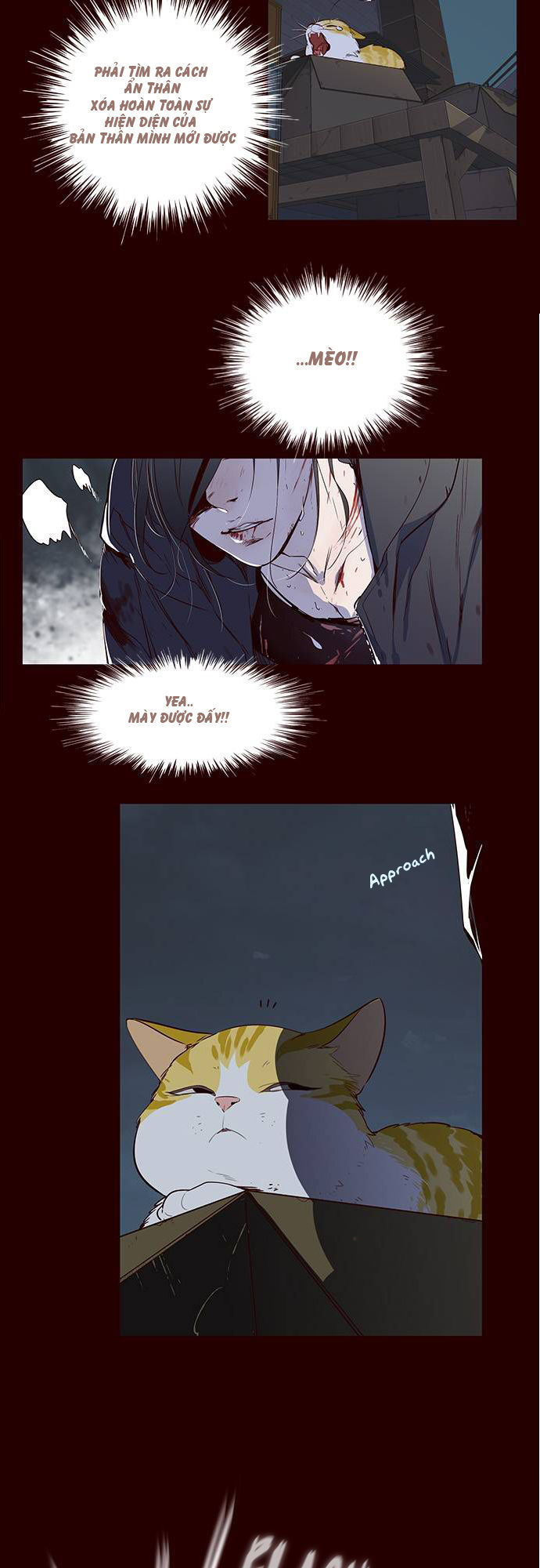 Hóa thân thành mèo chapter 1 - Upload bởi truyensieuhay.com