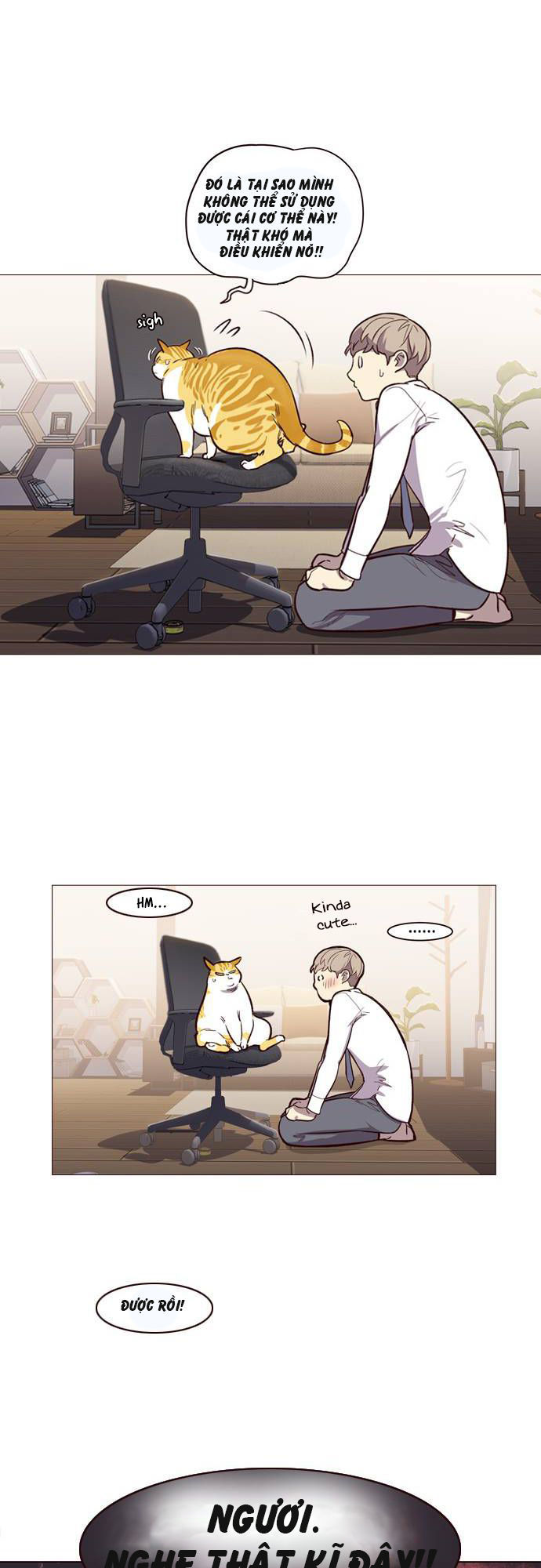 Hóa thân thành mèo chapter 1 - Upload bởi truyensieuhay.com