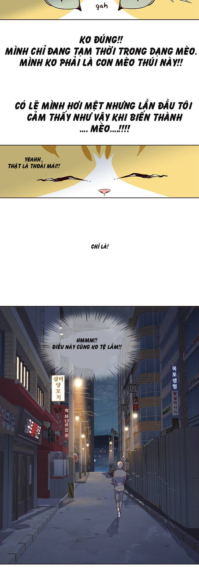Hóa thân thành mèo chapter 2 - Upload bởi truyensieuhay.com