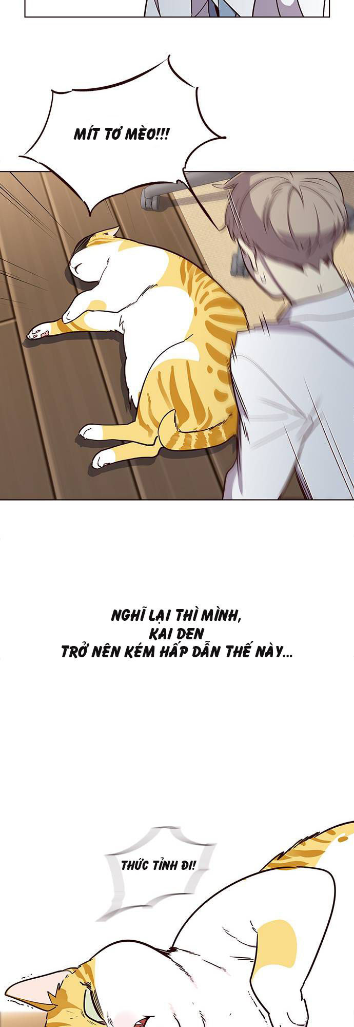Hóa thân thành mèo chapter 2 - Upload bởi truyensieuhay.com