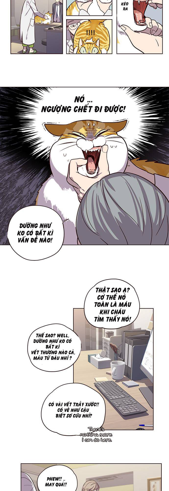 Hóa thân thành mèo chapter 2 - Upload bởi truyensieuhay.com