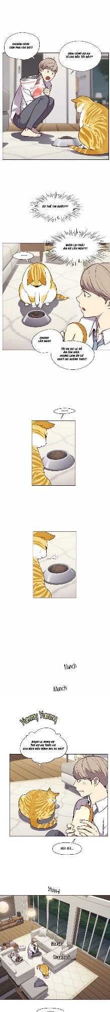 Hóa thân thành mèo chapter 4 - Upload bởi truyensieuhay.com