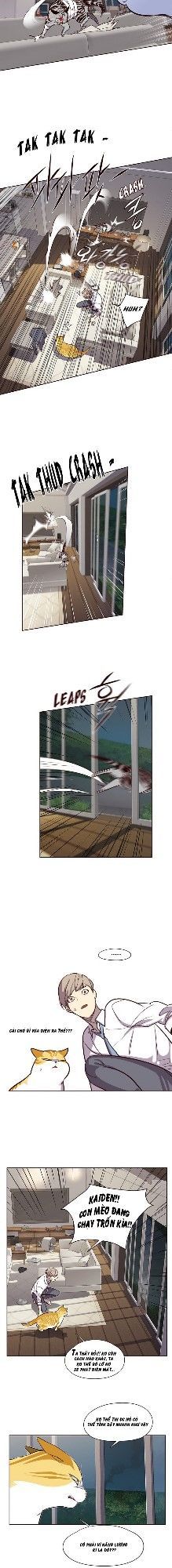 Hóa thân thành mèo chapter 4 - Upload bởi truyensieuhay.com