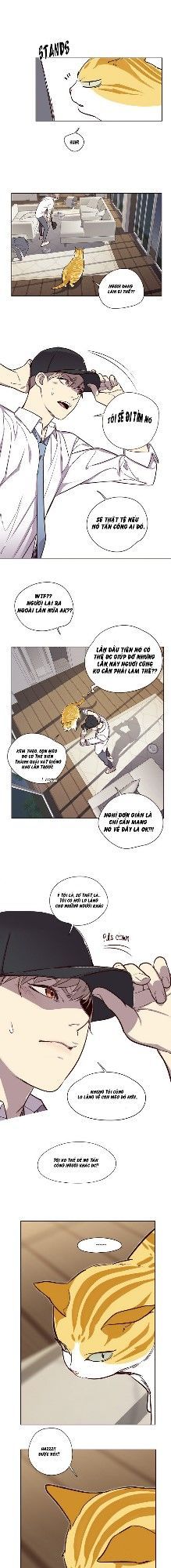 Hóa thân thành mèo chapter 4 - Upload bởi truyensieuhay.com