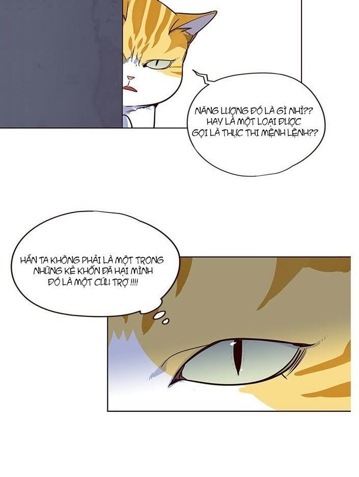 Hóa thân thành mèo chapter 5 - Upload bởi truyensieuhay.com