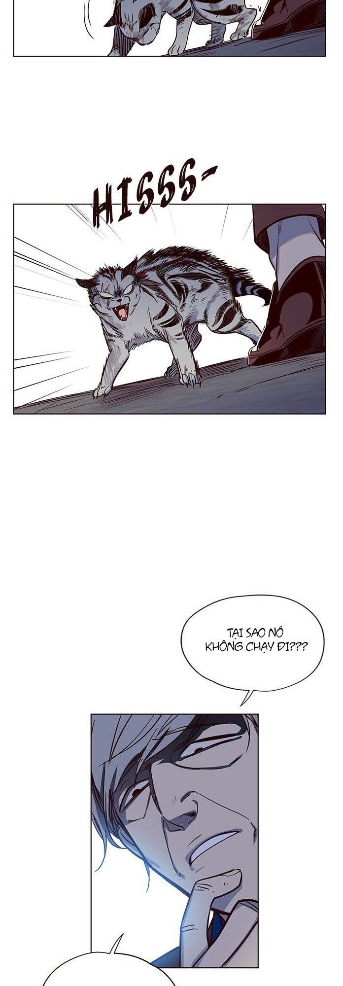 Hóa thân thành mèo chapter 5 - Upload bởi truyensieuhay.com