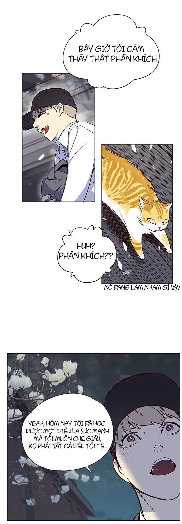 Hóa thân thành mèo chapter 5 - Upload bởi truyensieuhay.com