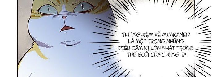 Hóa thân thành mèo chapter 6 - Upload bởi truyensieuhay.com