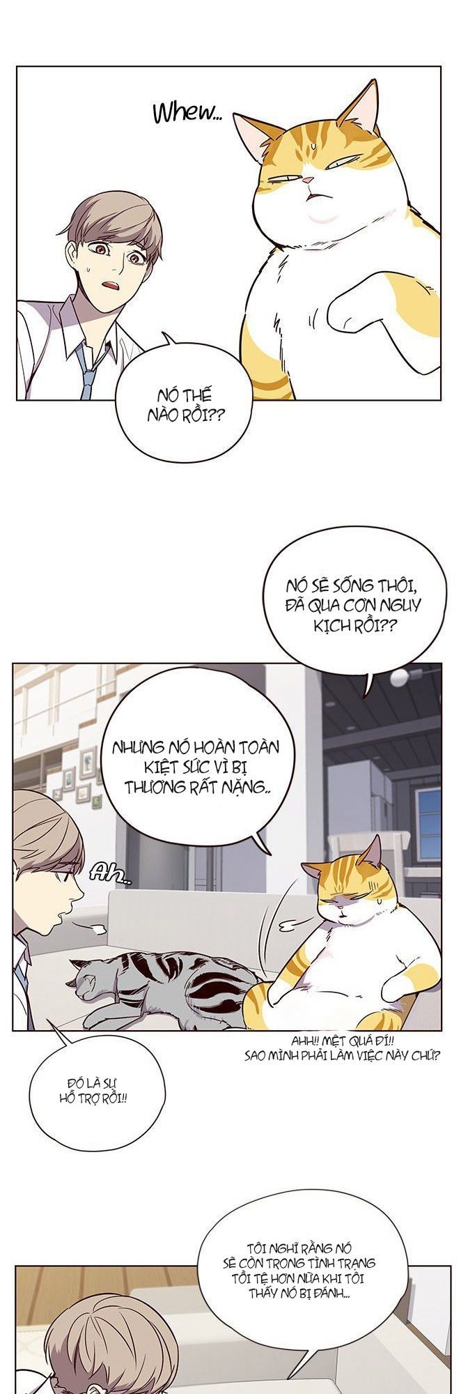 Hóa thân thành mèo chapter 6 - Upload bởi truyensieuhay.com