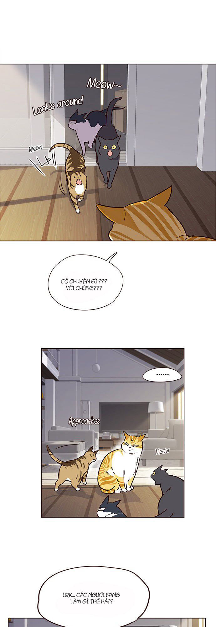 Hóa thân thành mèo chapter 6 - Upload bởi truyensieuhay.com