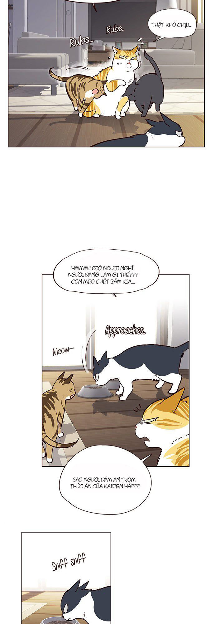 Hóa thân thành mèo chapter 6 - Upload bởi truyensieuhay.com