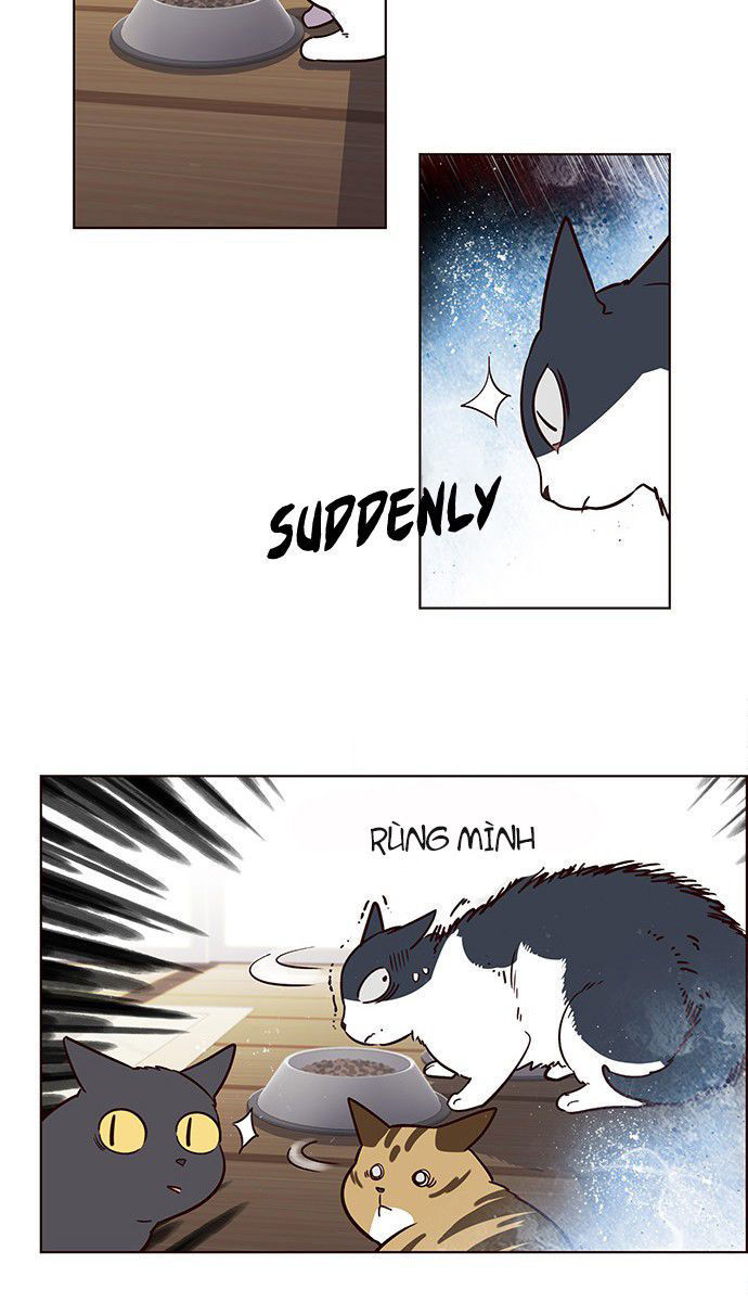 Hóa thân thành mèo chapter 6 - Upload bởi truyensieuhay.com