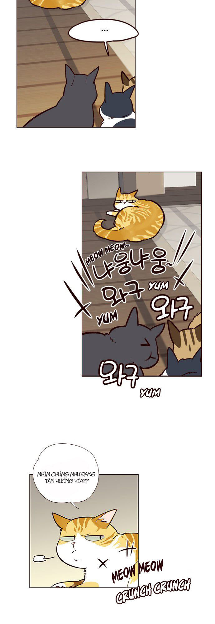 Hóa thân thành mèo chapter 6 - Upload bởi truyensieuhay.com
