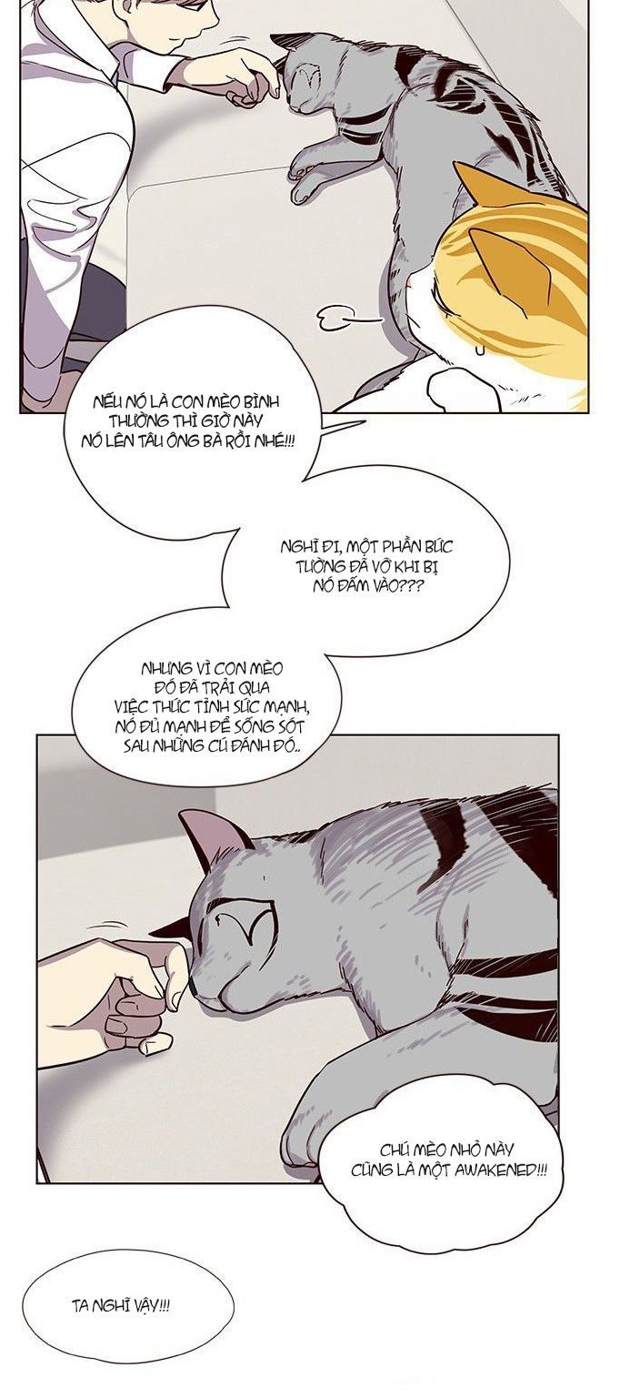 Hóa thân thành mèo chapter 6 - Upload bởi truyensieuhay.com