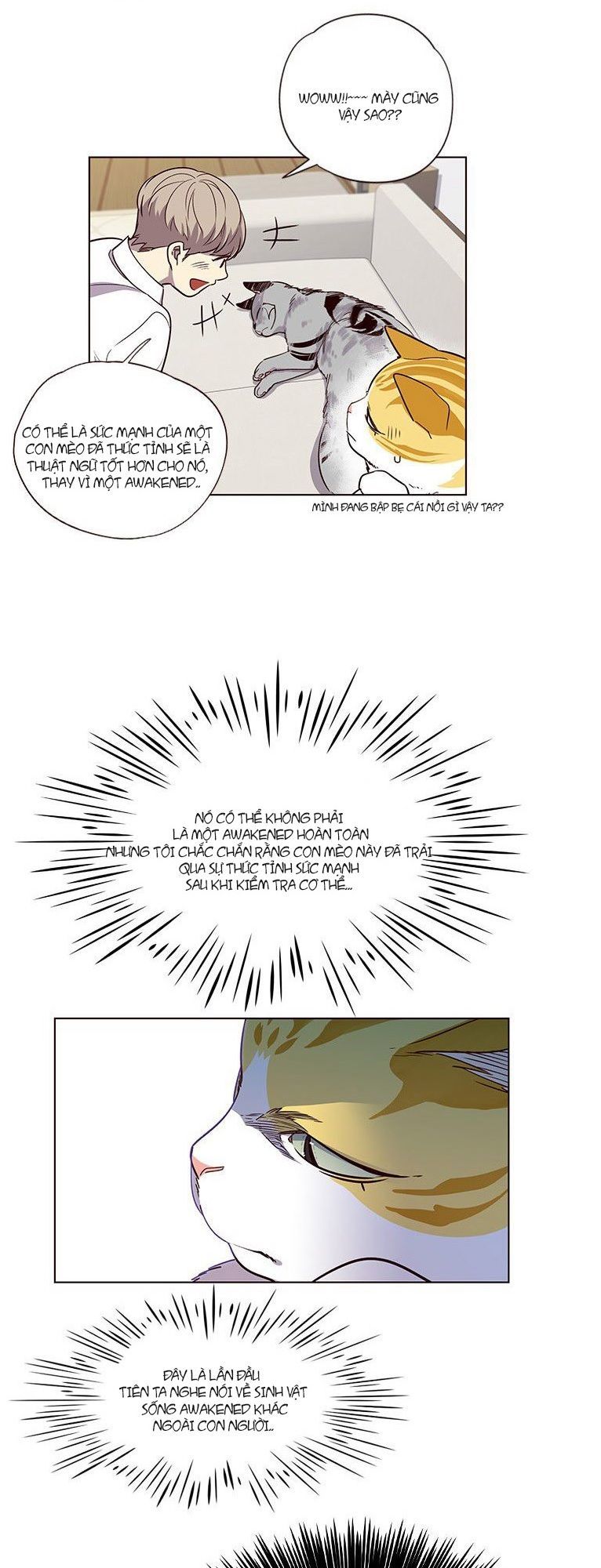 Hóa thân thành mèo chapter 6 - Upload bởi truyensieuhay.com