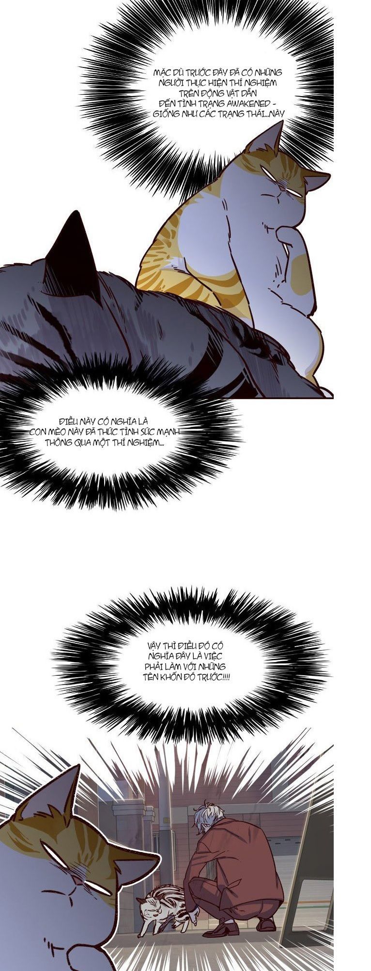 Hóa thân thành mèo chapter 6 - Upload bởi truyensieuhay.com