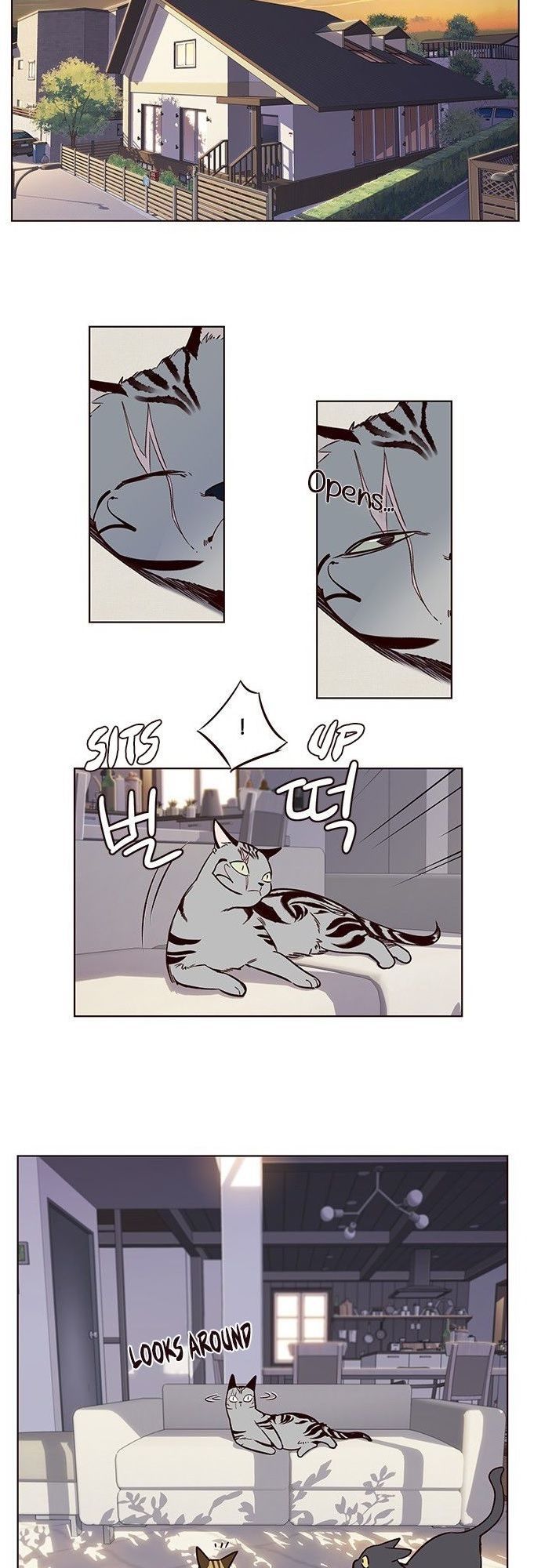Hóa thân thành mèo chapter 7 - Upload bởi truyensieuhay.com