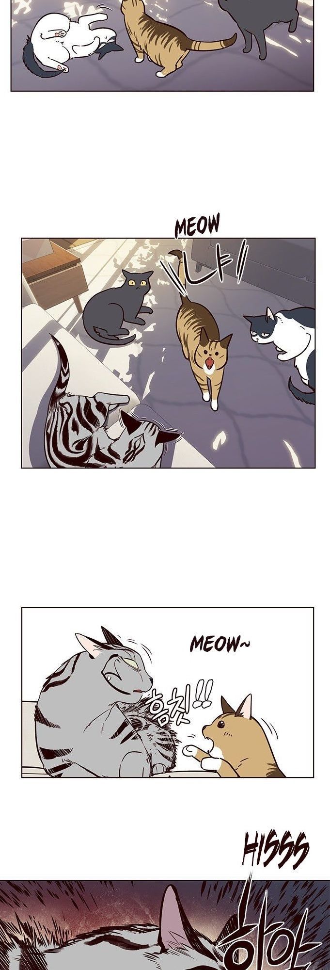 Hóa thân thành mèo chapter 7 - Upload bởi truyensieuhay.com