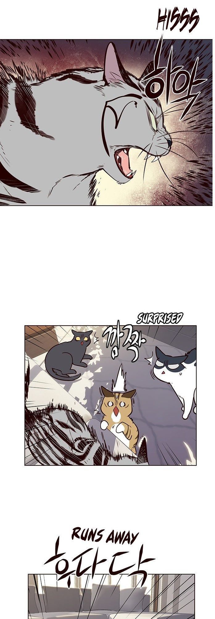 Hóa thân thành mèo chapter 7 - Upload bởi truyensieuhay.com