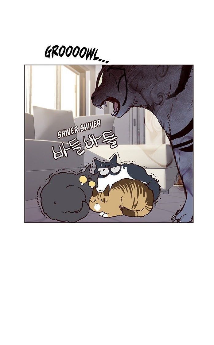 Hóa thân thành mèo chapter 7 - Upload bởi truyensieuhay.com