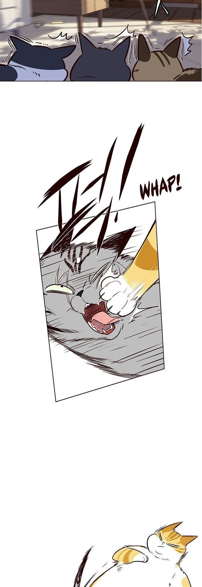 Hóa thân thành mèo chapter 7 - Upload bởi truyensieuhay.com