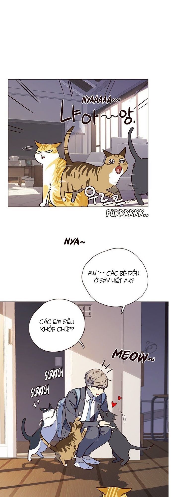 Hóa thân thành mèo chapter 7 - Upload bởi truyensieuhay.com
