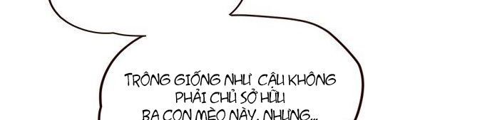 Hóa thân thành mèo chapter 7 - Upload bởi truyensieuhay.com